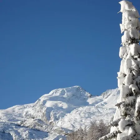 Appartement Amedee Saas Fee