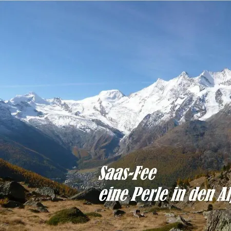 Amedee Appartement Saas Fee